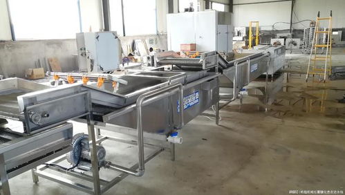 优选明超机械科技，净菜流水线助力果蔬加工品质与效率双提升